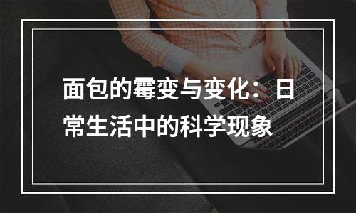 面包的霉变与变化：日常生活中的科学现象