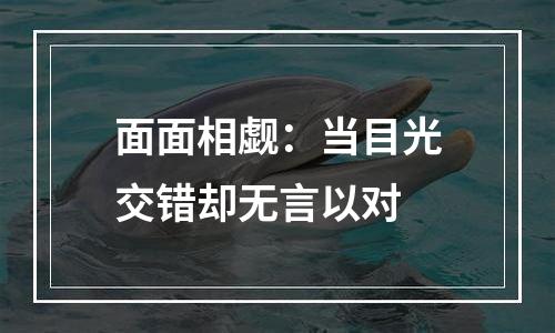 面面相觑：当目光交错却无言以对