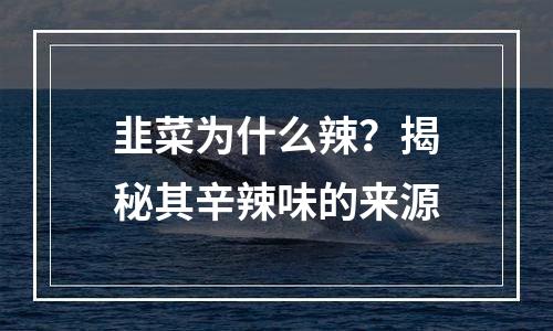 韭菜为什么辣？揭秘其辛辣味的来源