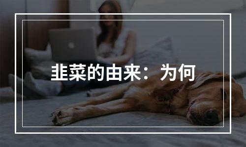 韭菜的由来：为何