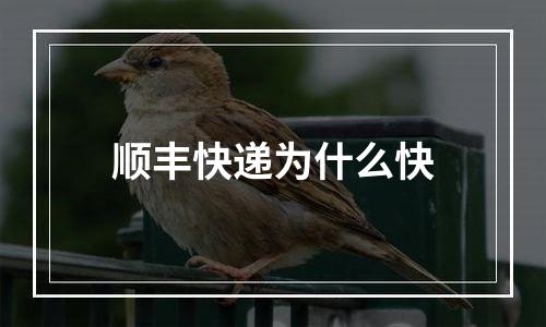 顺丰快递为什么快