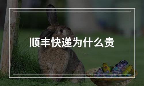 顺丰快递为什么贵