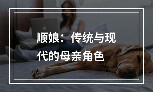 顺娘：传统与现代的母亲角色