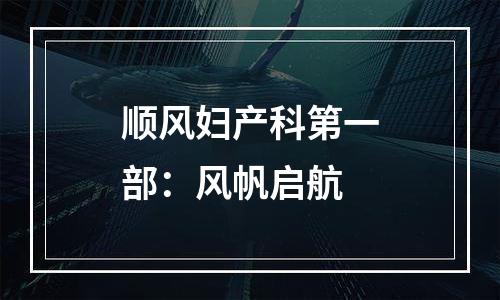 顺风妇产科第一部：风帆启航