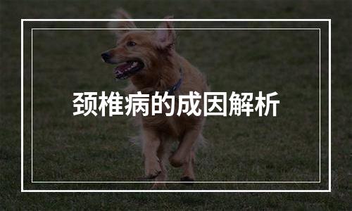 颈椎病的成因解析