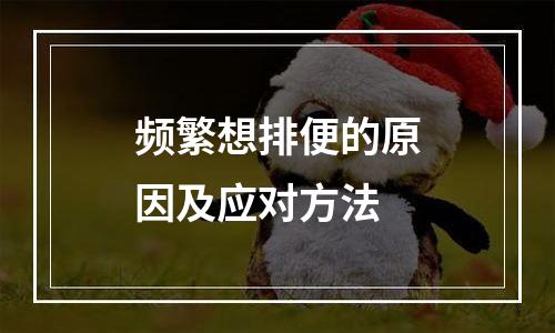频繁想排便的原因及应对方法
