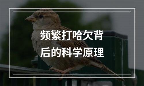 频繁打哈欠背后的科学原理