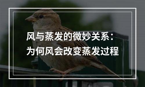 风与蒸发的微妙关系：为何风会改变蒸发过程