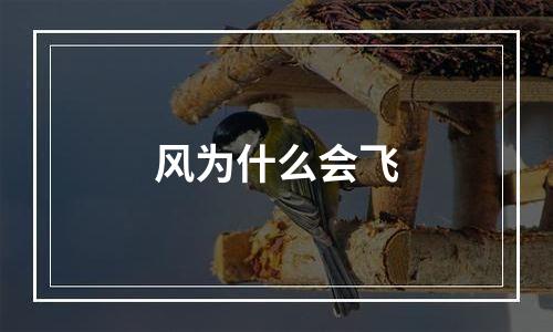 风为什么会飞