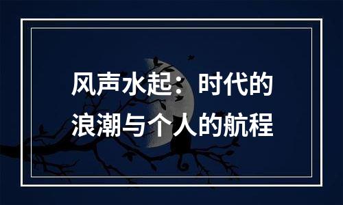 风声水起：时代的浪潮与个人的航程