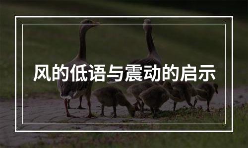 风的低语与震动的启示