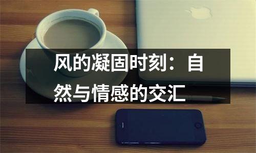 风的凝固时刻：自然与情感的交汇