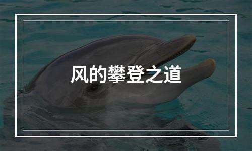 风的攀登之道