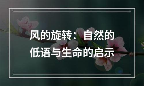 风的旋转：自然的低语与生命的启示