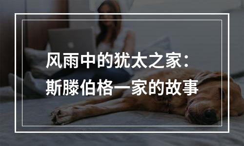 风雨中的犹太之家：斯滕伯格一家的故事