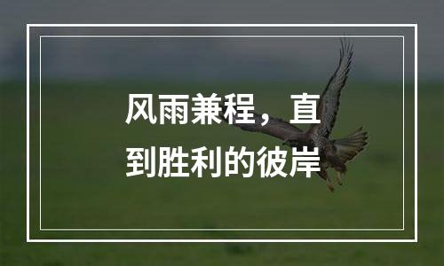 风雨兼程，直到胜利的彼岸