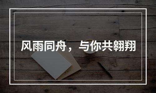 风雨同舟，与你共翱翔