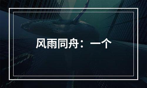 风雨同舟：一个