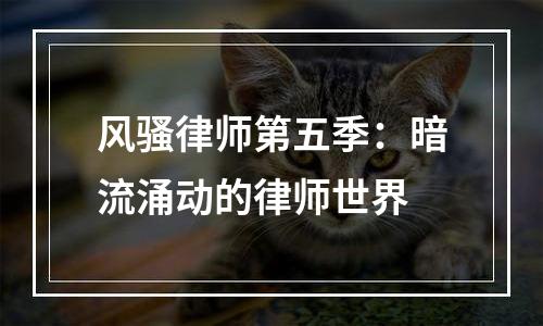 风骚律师第五季：暗流涌动的律师世界