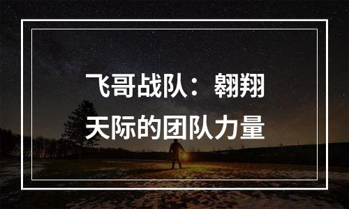 飞哥战队：翱翔天际的团队力量