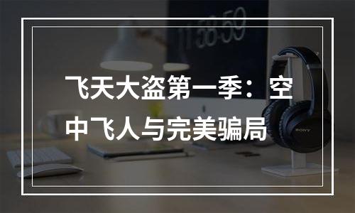飞天大盗第一季：空中飞人与完美骗局