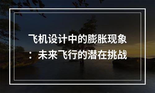 飞机设计中的膨胀现象：未来飞行的潜在挑战