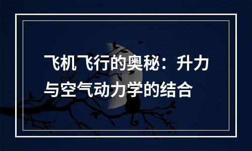 飞机飞行的奥秘：升力与空气动力学的结合