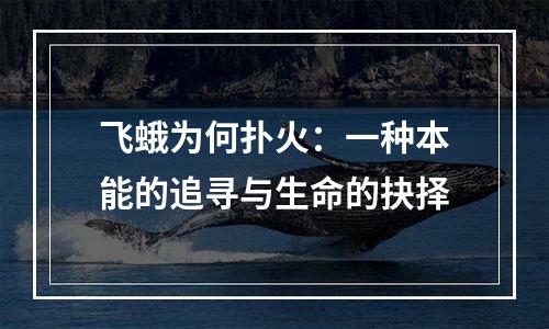 飞蛾为何扑火：一种本能的追寻与生命的抉择