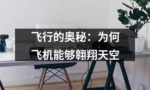 飞行的奥秘：为何飞机能够翱翔天空