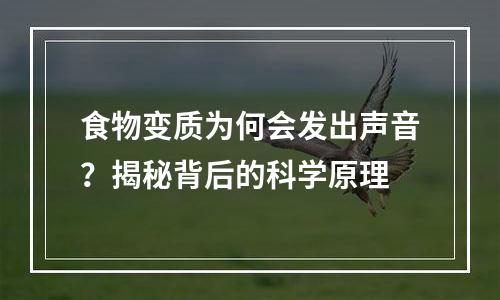 食物变质为何会发出声音？揭秘背后的科学原理