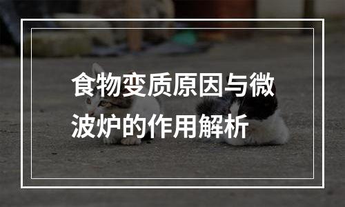 食物变质原因与微波炉的作用解析