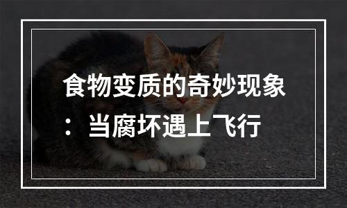 食物变质的奇妙现象：当腐坏遇上飞行