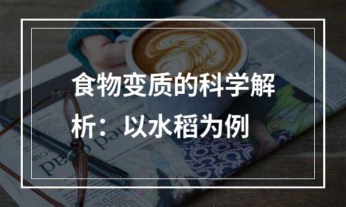食物变质的科学解析：以水稻为例