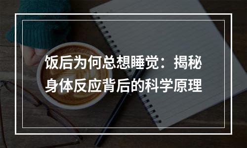 饭后为何总想睡觉：揭秘身体反应背后的科学原理
