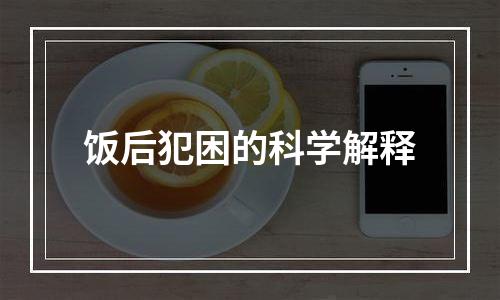 饭后犯困的科学解释