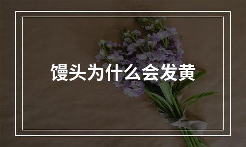 馒头为什么会发黄