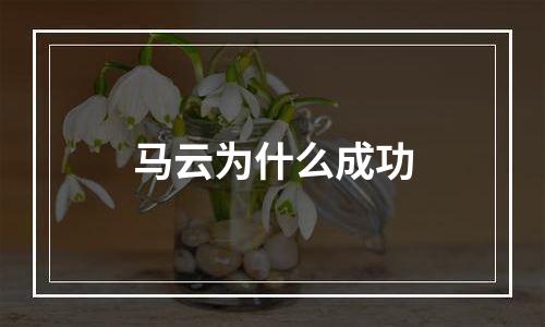 马云为什么成功