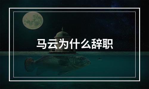 马云为什么辞职