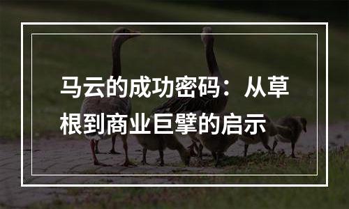 马云的成功密码：从草根到商业巨擘的启示