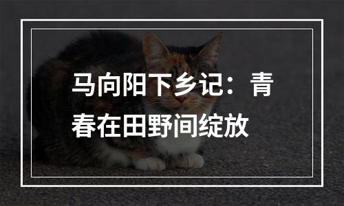 马向阳下乡记：青春在田野间绽放