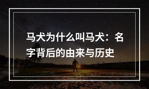 马犬为什么叫马犬：名字背后的由来与历史
