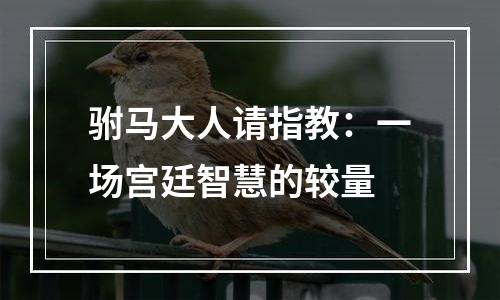 驸马大人请指教：一场宫廷智慧的较量