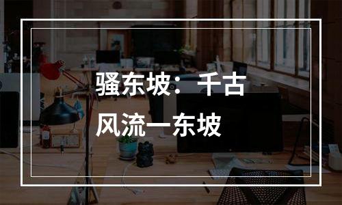 骚东坡：千古风流一东坡