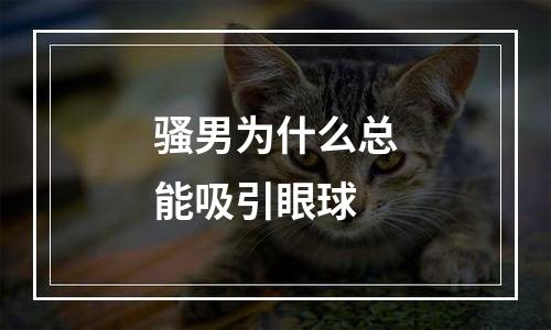 骚男为什么总能吸引眼球