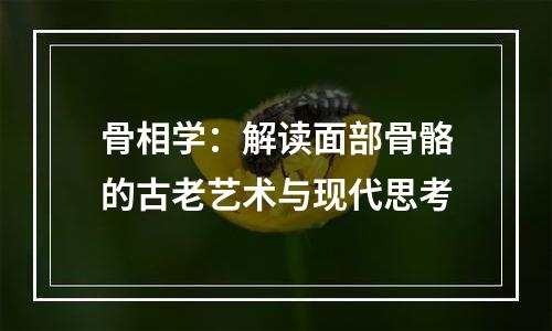 骨相学：解读面部骨骼的古老艺术与现代思考