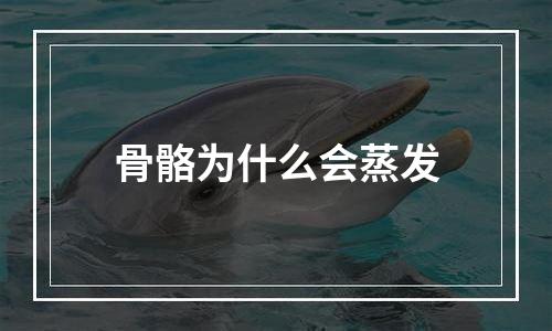 骨骼为什么会蒸发