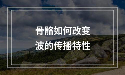 骨骼如何改变波的传播特性
