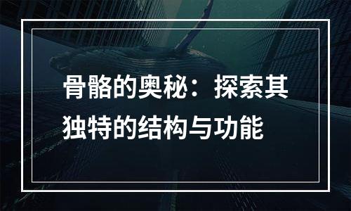 骨骼的奥秘：探索其独特的结构与功能