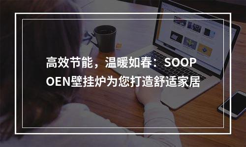 高效节能，温暖如春：SOOPOEN壁挂炉为您打造舒适家居