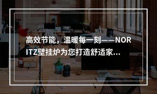 高效节能，温暖每一刻——NORITZ壁挂炉为您打造舒适家居